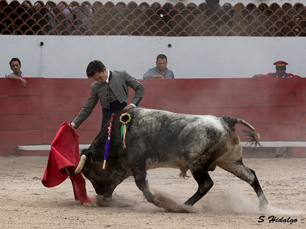 Jos Sainz . fall con el acero