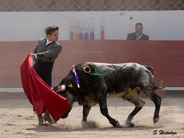 Mirando al tendido