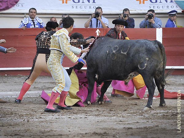 Esfuerzos por quitarlo