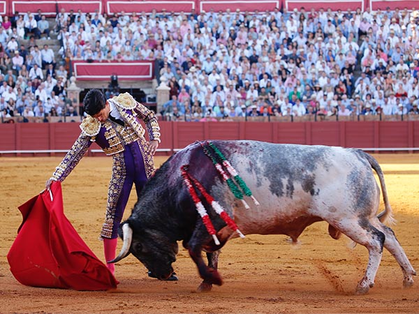 Faena en el tercio