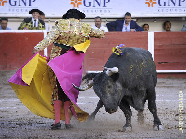 Amplia cuna y su mirada seria