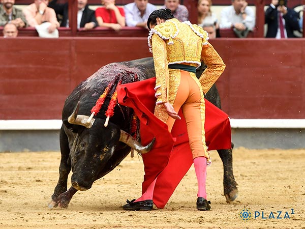 En los terrenos del toro