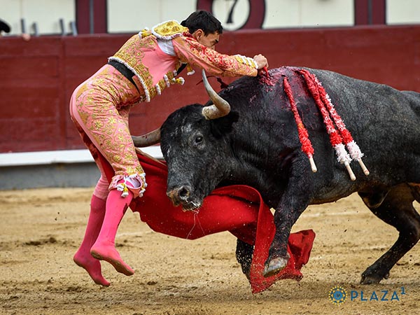 Entregado en la suerte suprema