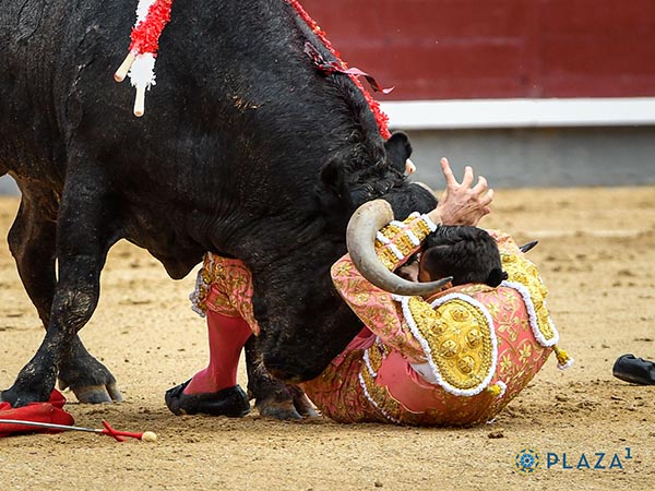 Cebndose con el matador