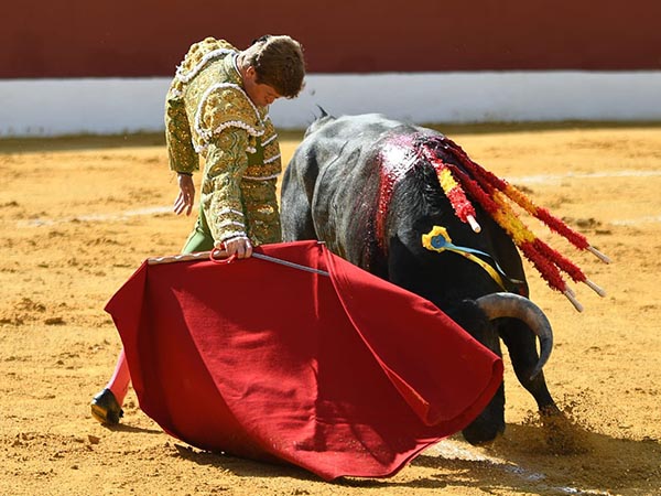 La barbilla en el pecho