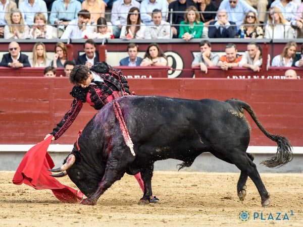 Temple de joven maestro