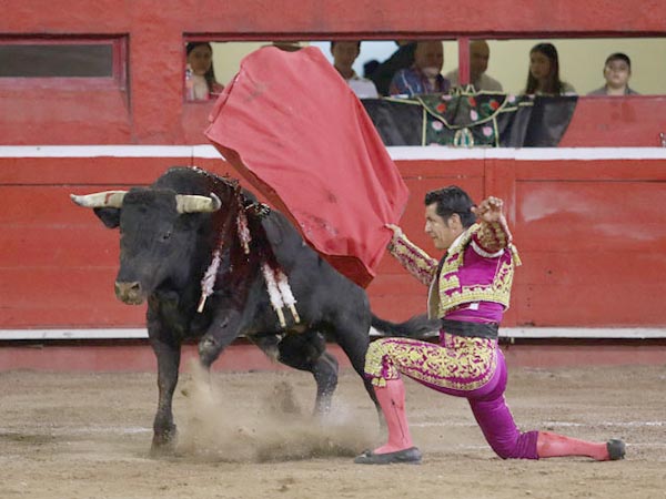 Rodilla en tierra