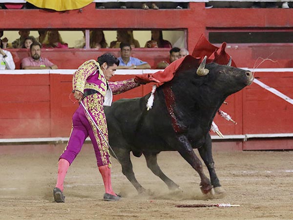 Barriendo los lomos