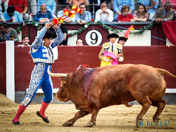 Banderillas de gran gala