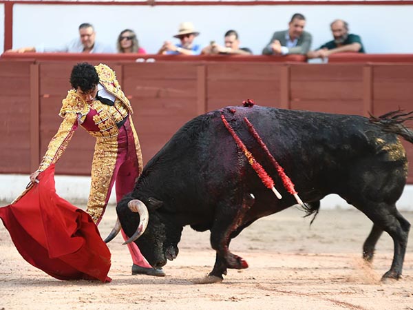 Metiendo la cara abajo