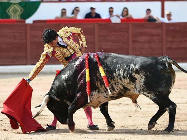 Templando al burraco