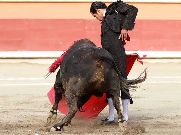 Metido en la muleta