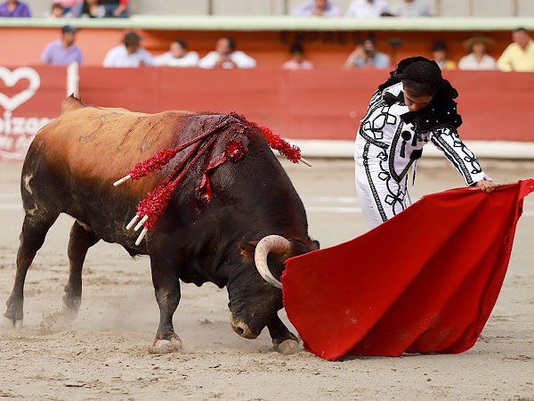 Embrujado en el vuelo