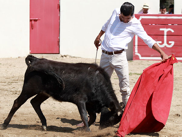 Metiendo bien la cara