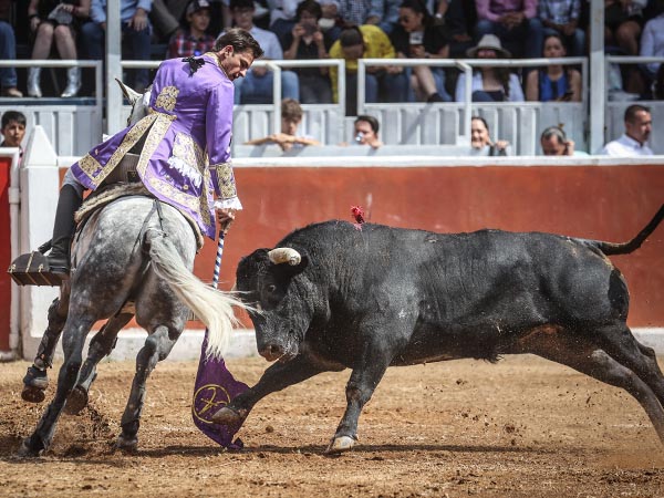 Encelando con la banderola