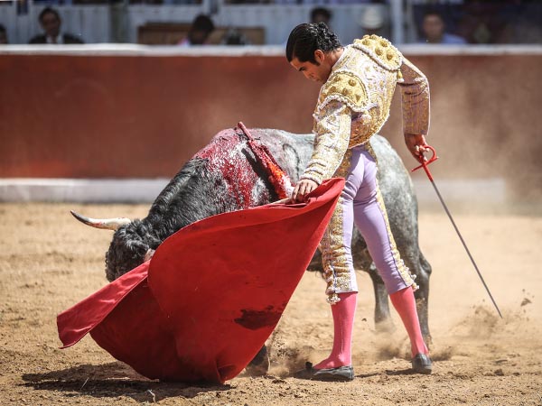 Tirando del crdeno