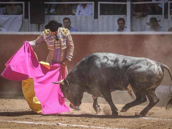 Saludo por vernicas