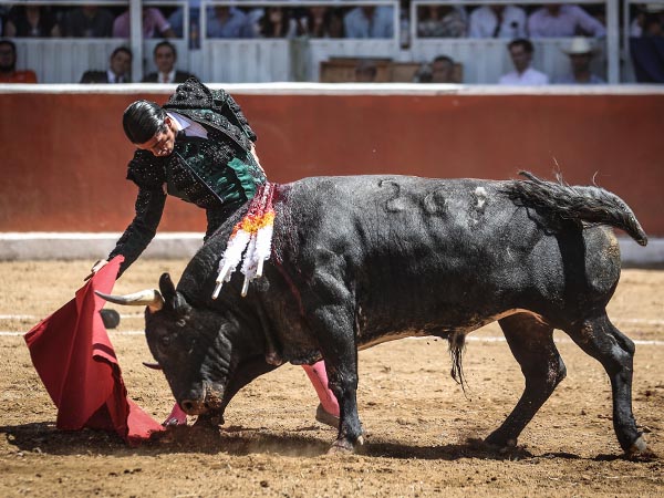 Temple de joven maestro