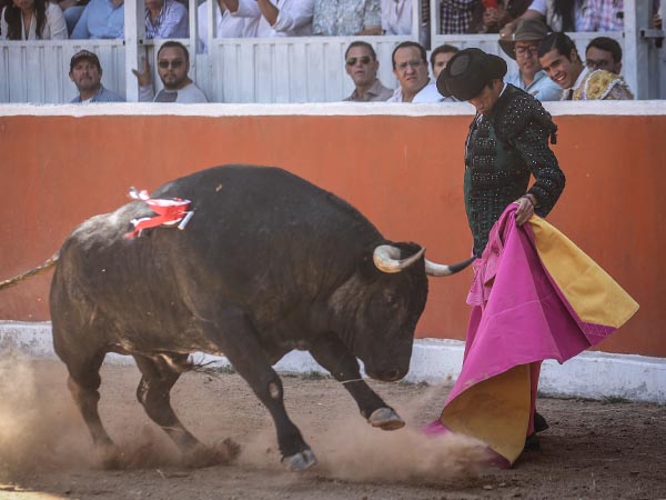 Calita, en la lidia ordinaria