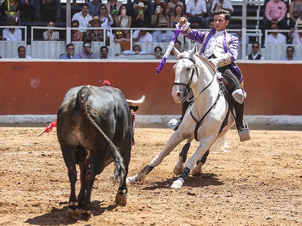 La doma del tordillo