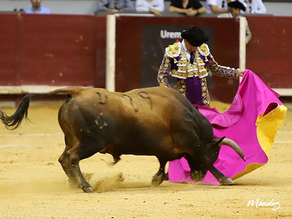 El mexicano en las vernicas