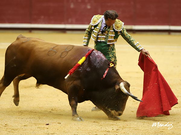 La enjundia de Ferrera