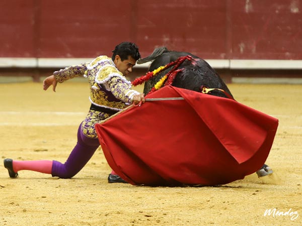 Rodilla en tierra