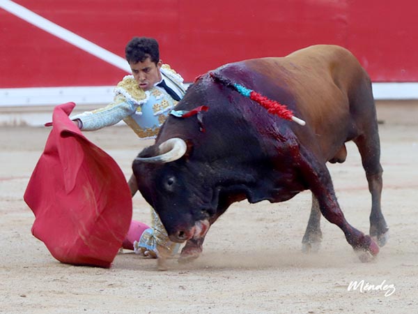 De hinojos ante el castao