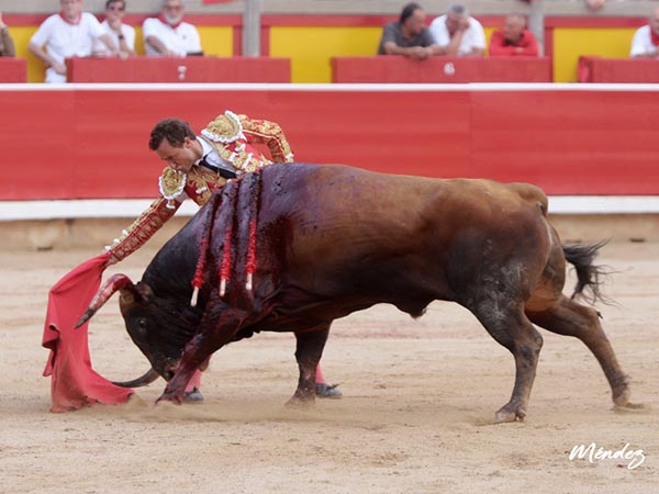 En la linea de la embestida