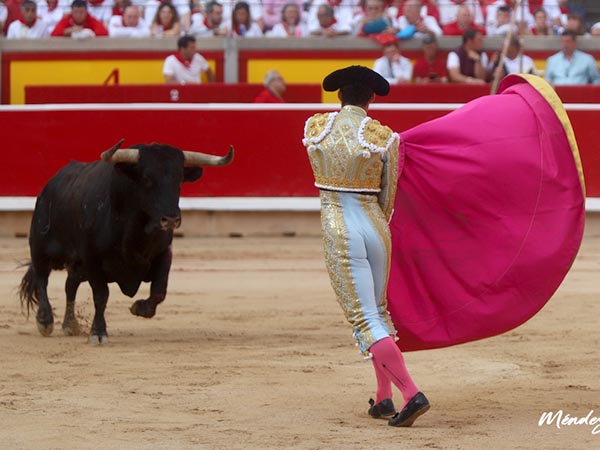 Evocando a Miguel ngel