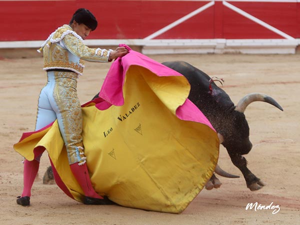 Las vernicas de Leo