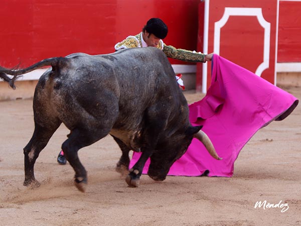 Primeros lances