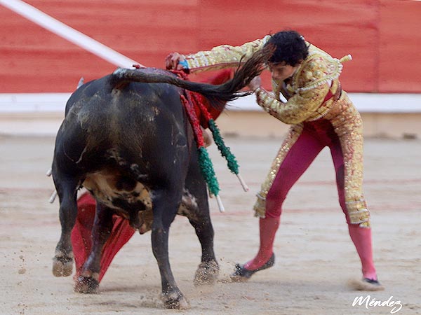 Partido en dos