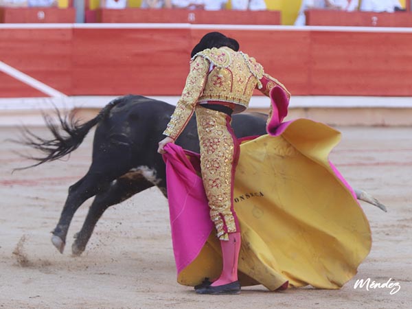 Plantado en la arena