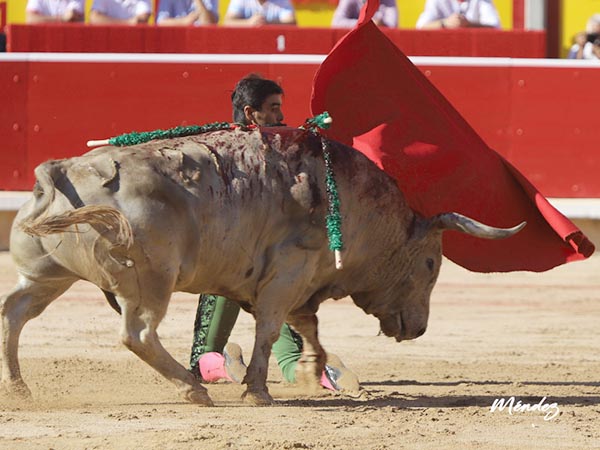 Cambiado de hinojos