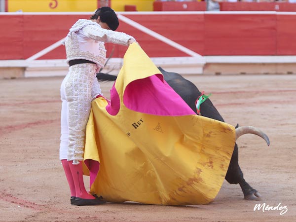 Ahormando al ejemplar