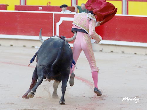 Prendido de la fajilla