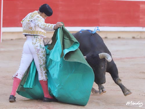 Ferrera a la vernica