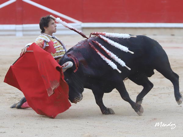 Emocion al tendido