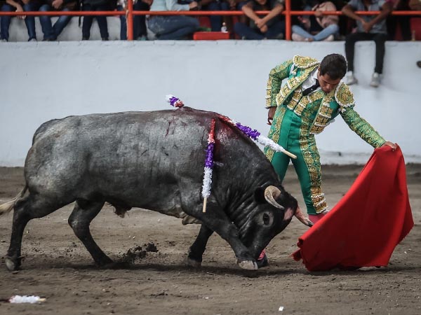 Jaleado en los naturales