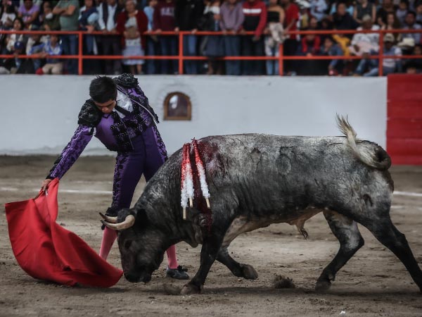 Bajando la mano