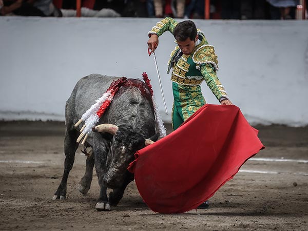 Tirando del crdeno