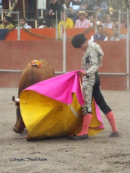 Saludo a la vernica