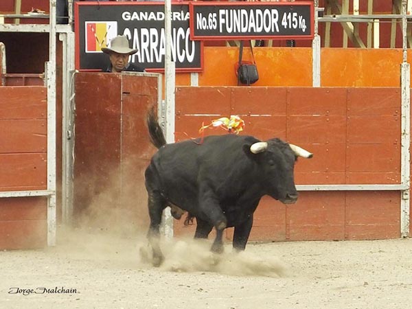 Salta a la arena el de Carranco