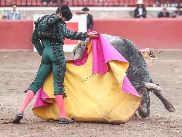 Ahormando al crdeno