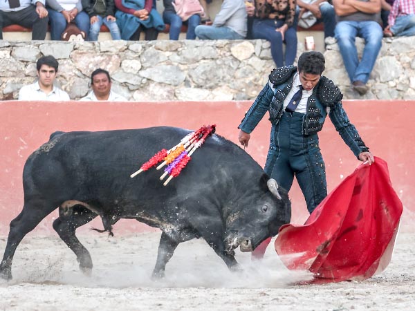 Enjundia en los naturales