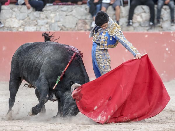 El izquierdo del crdeno