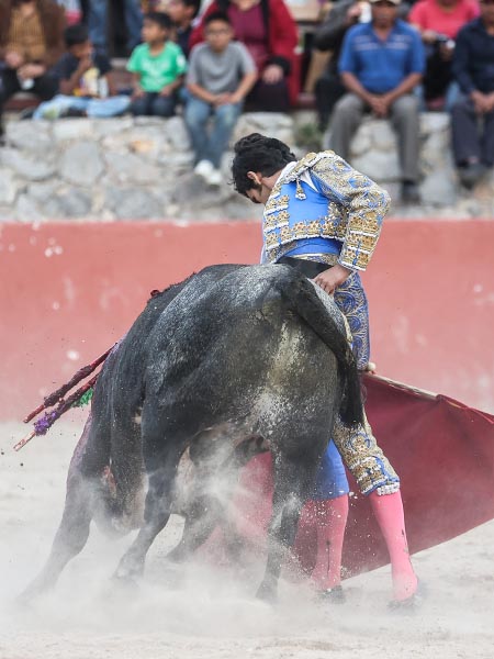 Faena en los medios