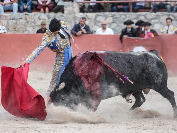 Los belfos en la arena