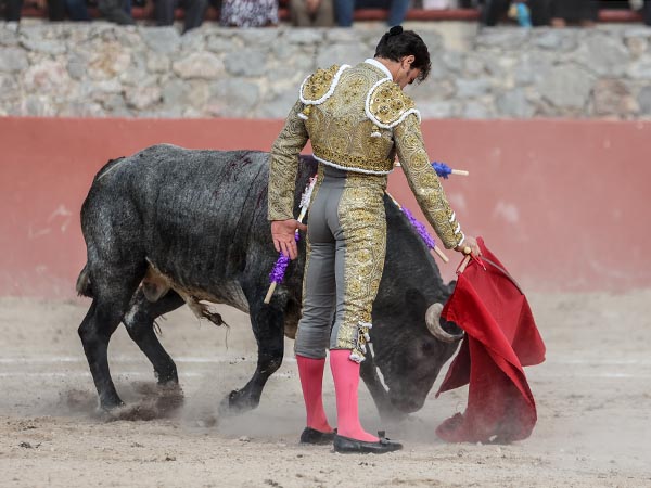 Reposo de torero